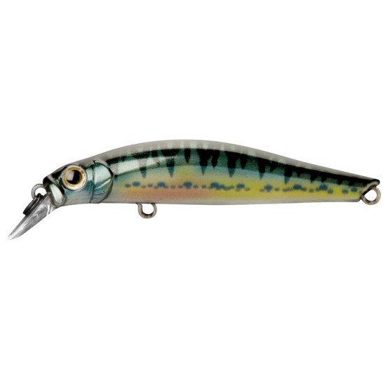 Jackson Artist FR55 - 55mm - 4g - Sinking