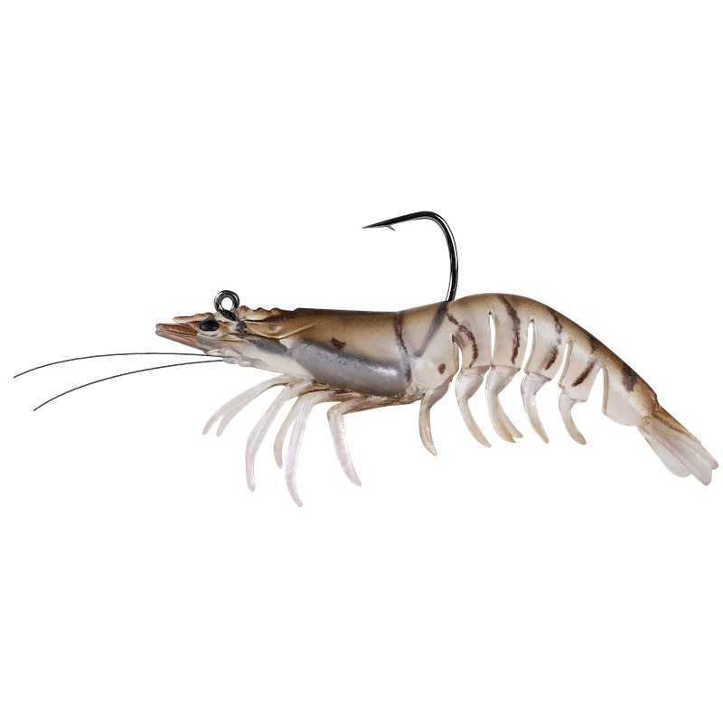Zerek Absolut Shrimp