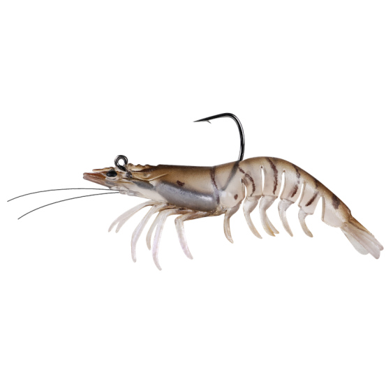 Zerek Absolut Shrimp