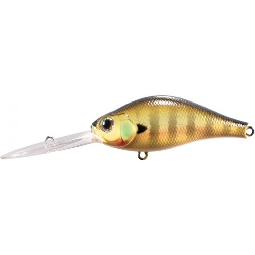 337 Real Gill