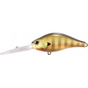 337 Real Gill