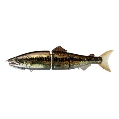 Largemouth Bass