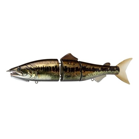 Largemouth Bass