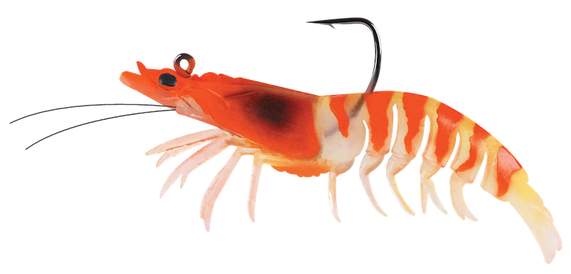 Camarones Zerek Absolut - Imagen 6 de 9