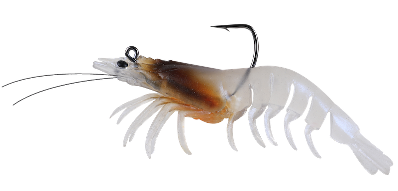 Camarones Zerek Absolut - Imagen 5 de 9