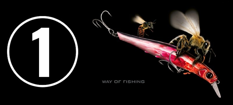 Way of Fishing Posters - Picture 22 of 22
