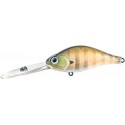 082 Ghost Gill