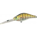 509 Blue Gill