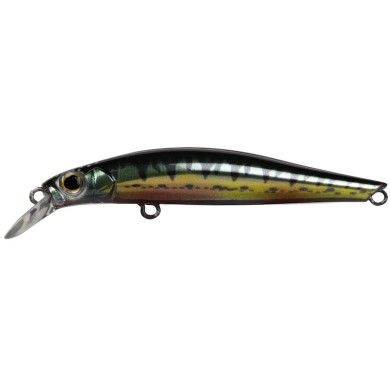 Nuptial minnow