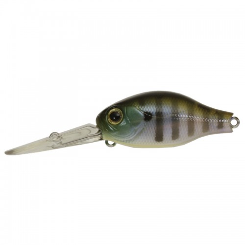 082 Ghost Gill
