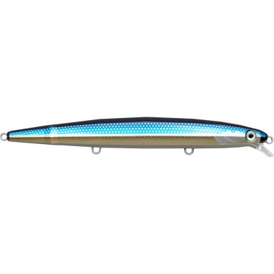 BLL