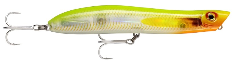 Rapala MaxRap Walk’N Roll - 10cm - 13g - Floating - Imagen 25 de 27