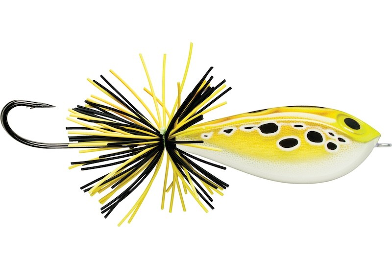 Rapala BX Skitter Frog - 5.5cm - 13g - Floating - Imagen 21 de 24