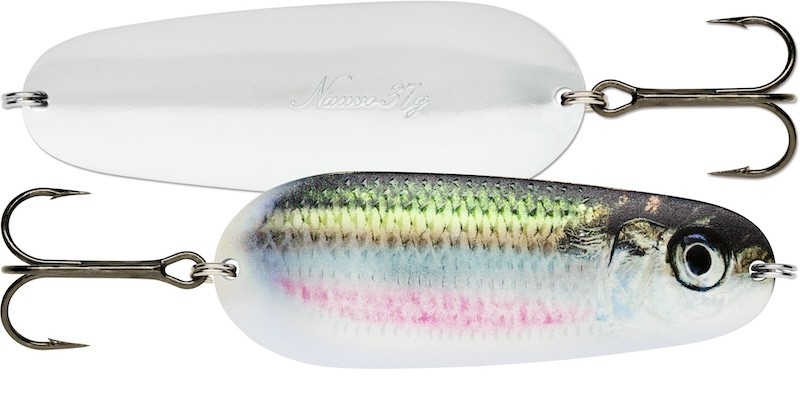 Rapala Nauvo - Imagen 13 de 23
