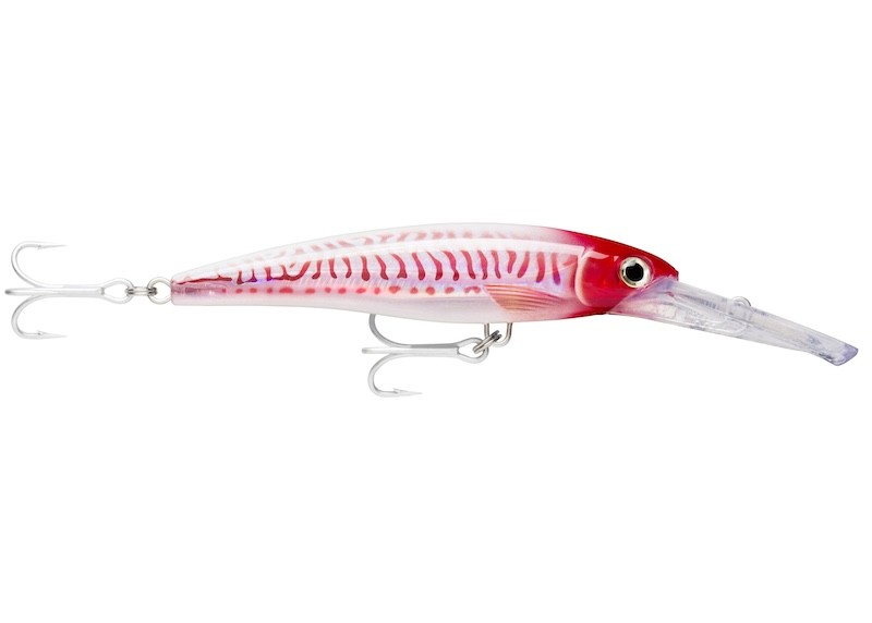 Rapala X-Rap Magnum 40 - 18 cm - 97 g - Flotante - Imagen 18 de 23