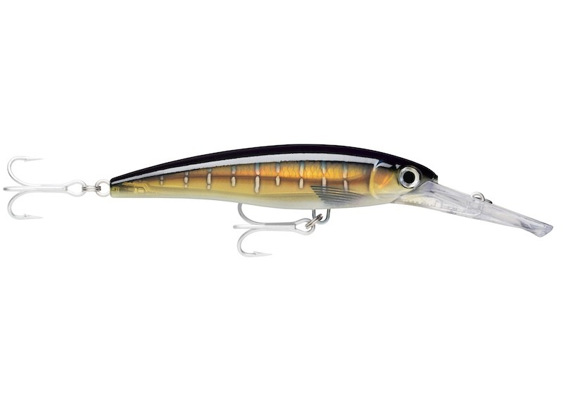 Rapala X-Rap Magnum 40 - 18 cm - 97 g - Flotante - Imagen 23 de 23