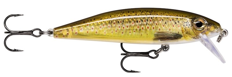 Rapala X-Rap Cuenta atrás 07 - 7 cm - 10 g - Hundimiento - Imagen 3 de 11