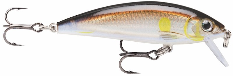 Rapala X-Rap Cuenta atrás 07 - 7 cm - 10 g - Hundimiento - Imagen 9 de 11