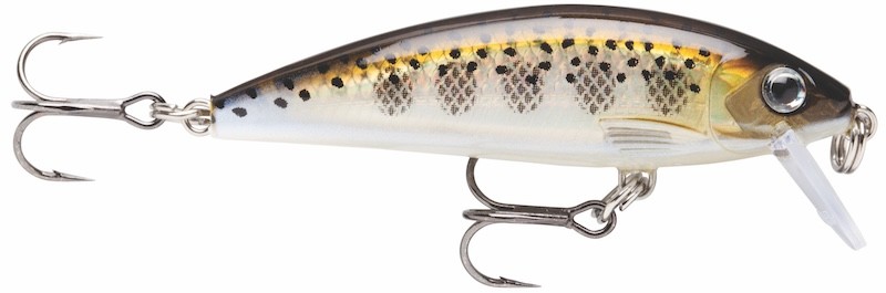Rapala X-Rap Cuenta atrás 07 - 7 cm - 10 g - Hundimiento - Imagen 10 de 11