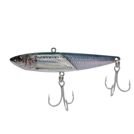 40g - 01 ESCALA IWASHI