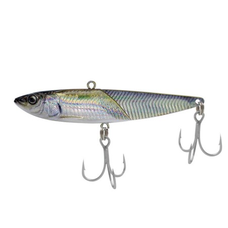 20g - 02 ESCALA ANCHOVY