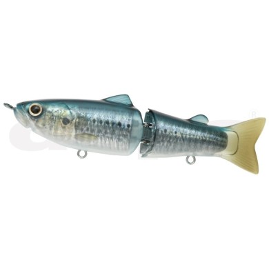 15 SARDINA