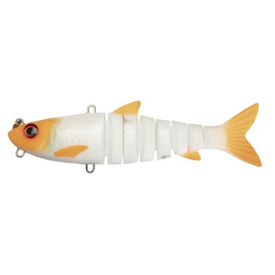 Orange Fin Albino