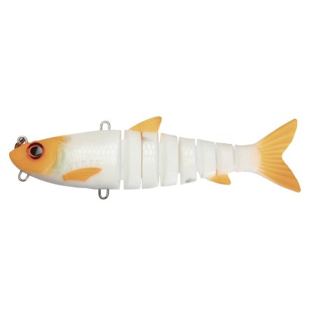 Orange Fin Albino