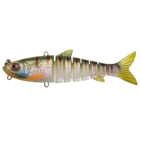 Orange Gill