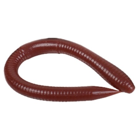 Bait Breath Vein Power Plus 5.5