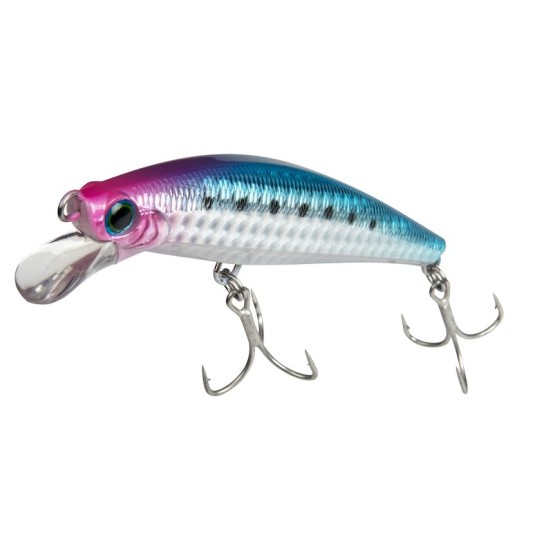 Jackson PINTAIL SAGOSHI TUNE