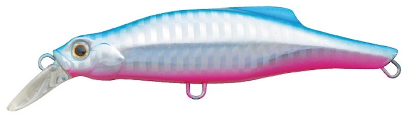 Jackson Pintail 48 - Imagen 9 de 10