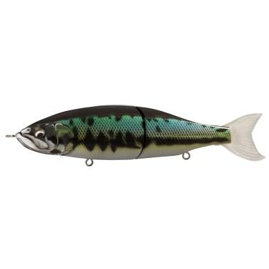 19 Black Bass