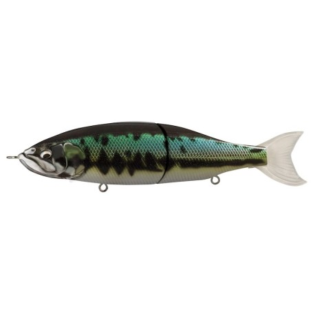 19 Black Bass