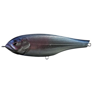 03 Blue Back Silver