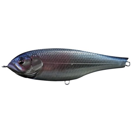 03 Blue Back Silver