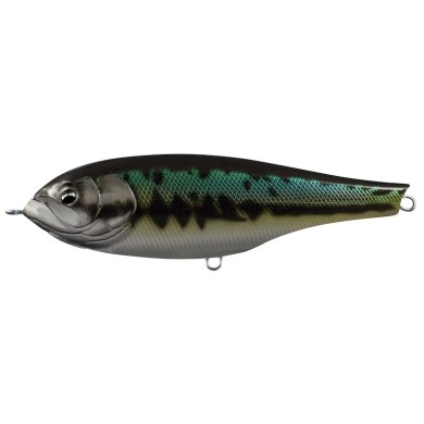 19 Black Bass