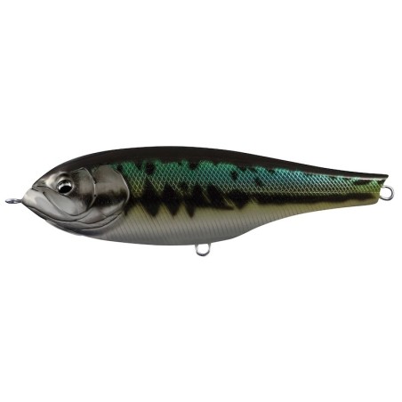 19 Black Bass