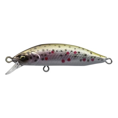 06-Brown Trout