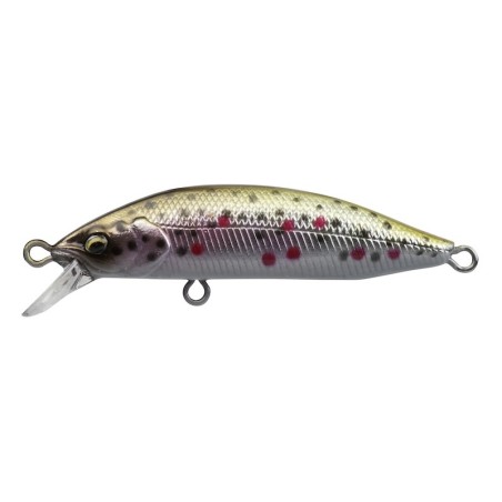 06-Brown Trout