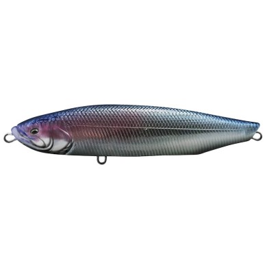 03 Blue Back Silver