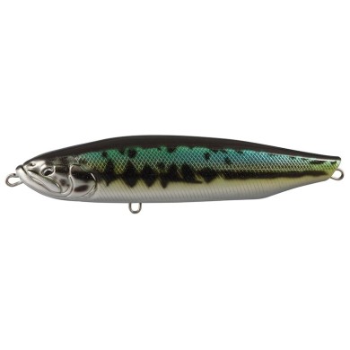 19 Black Bass