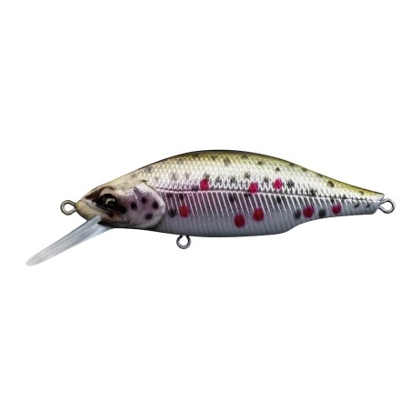 06 Brown Trout