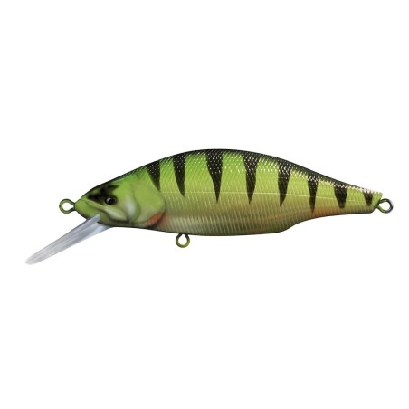 10 Perch