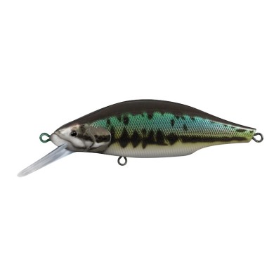 19 Black Bass
