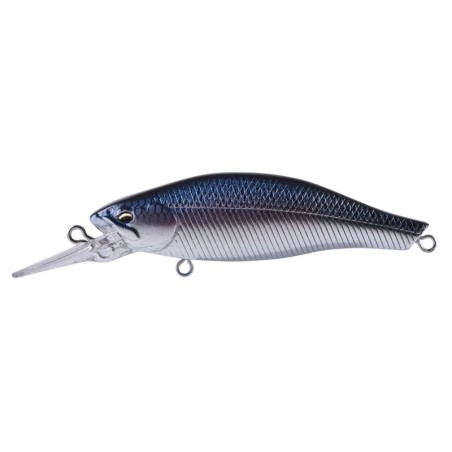 03 Blue Back Silver