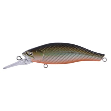 26 TENNESSEE SHAD