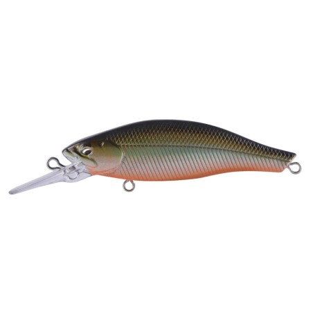 26 TENNESSEE SHAD