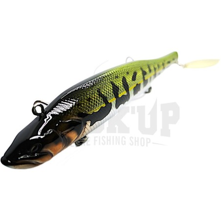 11 Minnow