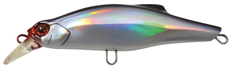 Jackson Pintail 48 - Imagen 6 de 10